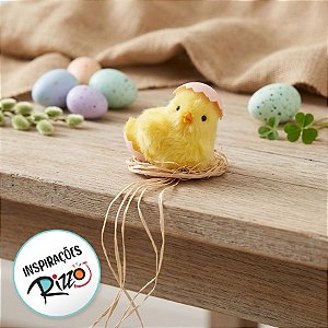 Pintinho Chocando Enfeite para Pendurar - 1 unidade - Cromus - Rizzo