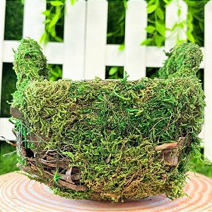 Cesta Quadrada de Musgo Verde/Marrom - 22cm - 1 unidade - Cromus - Rizzo