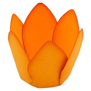 Forminha Para Doces Finos - Monaco - Amarelo Ouro - 50 unidades - Decora Doces - Rizzo