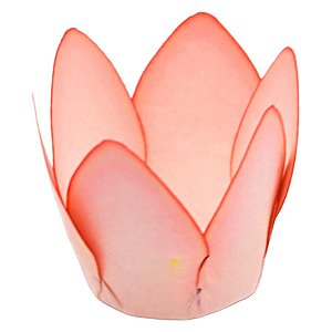 Forminha Para Doces Finos - Monaco - Pessego - 50 unidades - Decora Doces - Rizzo