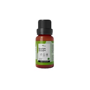 Óleo Essencial de Eucalipto Globulus Concentrado - 10ml - 1 unidade - Rizzo