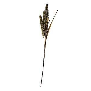 Galho Decorativo - Millete - 75cm - 1 unidade - Rizzo