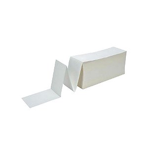 Etiqueta Térmica Adesiva Tamanho Especial Para Correio Serrilha Resma - 10x15cm - 1.000 unidades - Rizzo