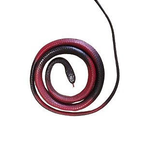 Cobra de Plástico - Vermelho/Preto - 97cm - 1 unidade - Rizzo