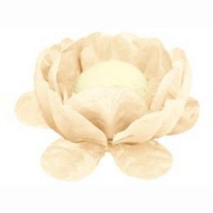 Forminha para Doces Finos - La Belle - Bege - 30 unidades - Maxiformas - Rizzo