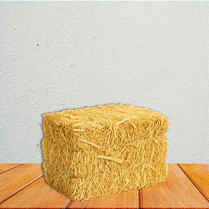 Mini Fardo De Feno Palha - 5x10x6cm - 1 unidade - Rizzo