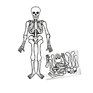 Enfeite Decorativo De Halloween - Esqueleto Articulado - 1,20m - 1 unidade - Cromus - Rizzo