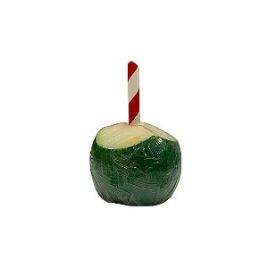Sabonete Artesanal com Cheiro e Formato de Coco Verde Pequeno - 3,5cm - 1 unidade - Rizzo