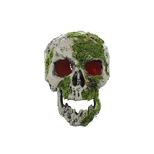 Enfeite Decorativo de Halloween - Crânio com Musgo com Luz - 16x12cm - 1 unidade - Cromus - Rizzo