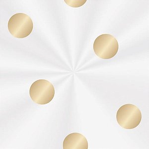 Saco Transparente - 52x70cm - Elite Ouro  - 5 unidades - Cromus - Rizzo