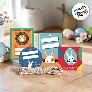 Kit Fechamento Para Presentes - Coelhinho Sai da Toca - 1 unidade - Cromus - Rizzo