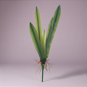 Haste Folha Permanente - Orquídea Cymbidium com Raiz - 42cm - 1 unidade - Cromus - Rizzo