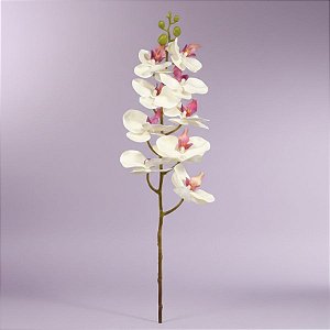 Haste Flor Permanente - Orquídea Phalaenopsis - Creme - 95cm - 1 unidade - Cromus - Rizzo