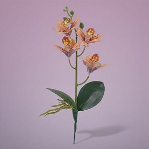 Haste Flor Permanente - Orquídea Cymbidium com Folha - Ocre - 36cm  - 1 unidade - Cromus - Rizzo