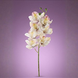 Haste Flor Permanente - Orquídea Cymbidium - 72cm  - 1 unidade - Cromus - Rizzo