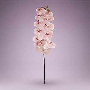Haste Flor Permanente - Orquídea Phalaenopsis - Rosa Claro - 75cm  - 1 unidade - Cromus - Rizzo