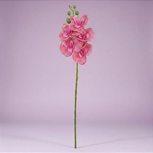 Haste Flor Permanente - Orquídea Phalaenopsis - Pink - 50cm - 1 unidade - Rizzo
