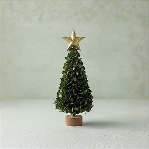 Mini Árvore De Natal Com Estrela - Verde e Ouro - 15x5x5cm - 1 unidade - Cromus - Rizzo
