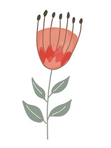 Estampa para Moldura - Flor Vermelha - 01 unidade - Rizzo Embalagens e Festas