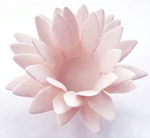 Forminha para Doces Floral Lee Colorset Rosa Bebê- 40 unidades - Decorart