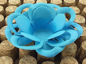 Forminha para Doces Floral Loá Colorset Azul Claro - 40 unidades - Decorart - Rizzo Embalagens