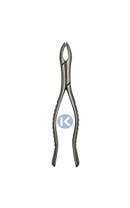 Forceps 17 - 6B