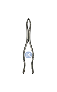 Forceps 65 - 6B