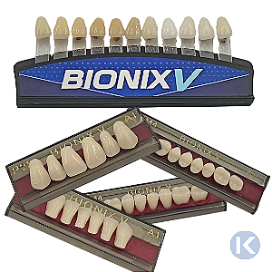 Dente 2 Camadas Cor A2 - BIONIX - Triunfo