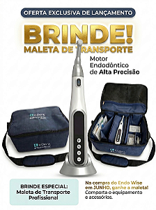 Motor Endodôntico ENDO WISE Bondent Sem Fio | Controle de Torque e Tela OLED