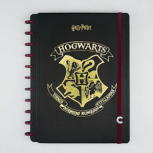 CADERNO INTELIGENTE HARRY POTTER 80FLS