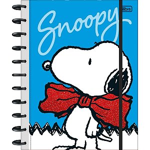 CADERNO DE DISCO GRANDE TILIDISCO SNOOPY 10M TILIBRA