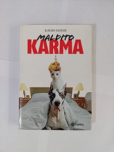 Maldito Karma - David Safier