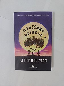 O Pássaro Noturno - Alice Hoffman