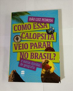 Como Essa Calopsita Veio Parar No Brasil - João Luiz Pedrosa