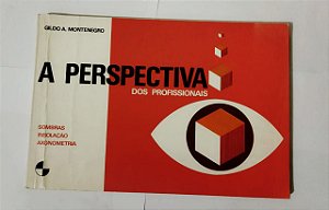 A Perspectiva Dos Profissionais - Gildo A. Montenegro