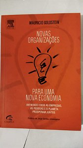 Novas organizações para uma nova economia - Mauricio Goldstein