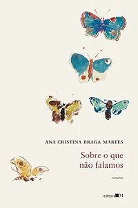 Sobre o que não falamos - Ana Cristina Braga Martes