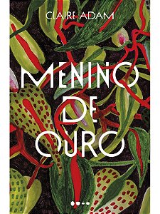 Menino de ouro - Claire Adam - Todavia