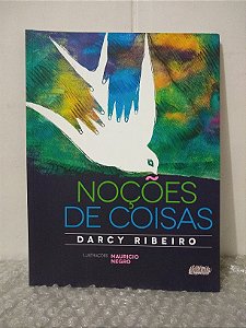 Noções de Coisas - Darcy Ribeiro