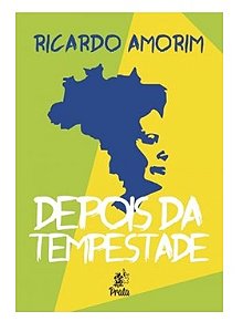 Depois da tempestade - Ricardo Amorim (marcas)