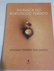 Em busca do Borogodó perdido - Joaquim Ferreira dos Santos