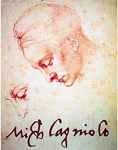 Michelangelo Entre Florença e Roma