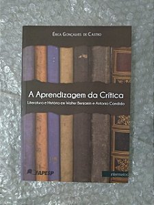 A Aprendizagem da Crítica - Érica Gonçalves de Castro