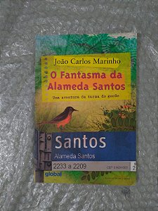 O Fantasma da Alameda Santos - João Carlos Marinho