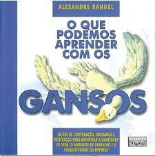 O Que Podemos Aprender com os Gansos - Alexandre Rangel