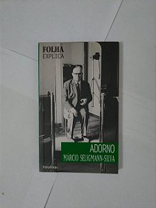 Adorno - Márcio Seligmann-Silva (Folha Explica)