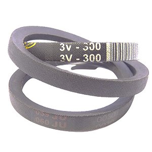 SCHULZ - CORREIA 3VX300 - MSI 2.6