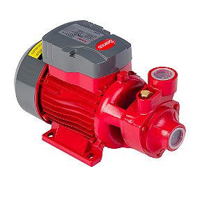 BOMBA PERIFERICA BB 1 1CV 127V - BRANCO