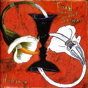 CD - Toad The Wet Sprocket – Dulcinea ( Importado )