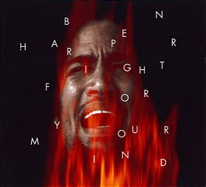 CD - Ben Harper – Fight For Your Mind